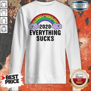 Cute Rainbow 2020 Everything Sucks Sweatshirt