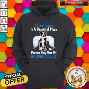 I Know Heaven Is A Beautiful Place Because They Have My Border Collie Angel Hoodie
