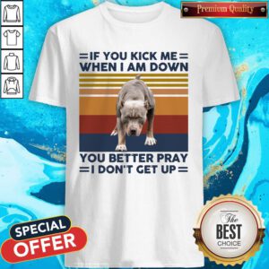 Pitbull If You Kick Me When I Am Down I Don’t Get Up Vintage Shirt