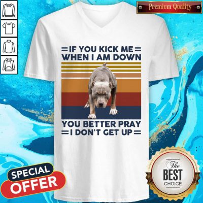 Pitbull If You Kick Me When I Am Down I Don’t Get Up Vintage V-neck