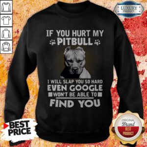 Alternative view of If You Hurt My Pitbull I Will Slap You So Hard Even Google Won’t Be Able To Find You Shirt