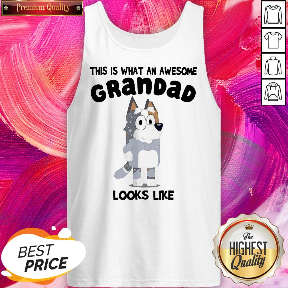Official This Is What An Awesome Grandpa Bandit Heeler Looks Like Tank Top