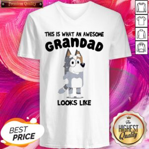 Official This Is What An Awesome Grandpa Bandit Heeler Looks Like V-neck