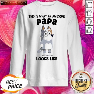 Official This Is What An Awesome Papa Bandit Heeler Looks Like Shirt