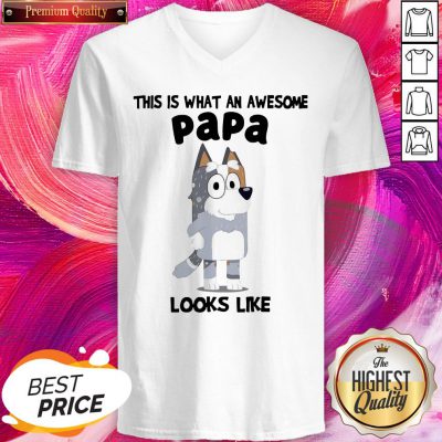 Official This Is What An Awesome Papa Bandit Heeler Looks Like V-neck