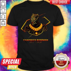 The Superhero Black Panther In The Marvel Cinematic Universe Rip Shirt