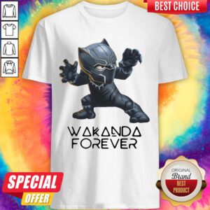 RIP Black Panther's Wakanda Forever Chadwick Boseman 1977 2020 T-Shirt