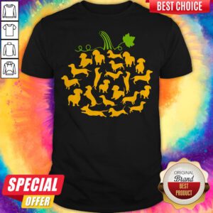 Funny Dachshund Pumpkin Halloween Shirt