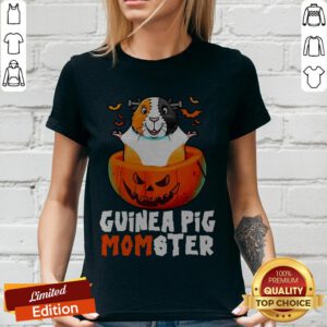 Hamster Guinea Pig Monster Pumpkin Halloween V-neck
