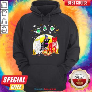 Funny Cat Costume Happy Halloween Hoodie - Design By Handstee.com