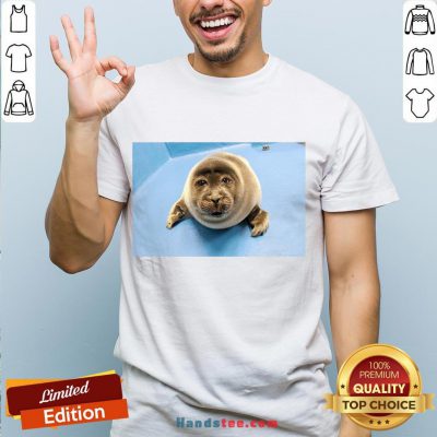 Nice Toba Aquarium Baby Seal Shirt- Design By Handstee.com