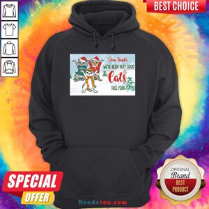 Original Christmas Kitty Dear Santa We’ve Been Very Good Cats This Year Hoodie- Design By Handstee.com