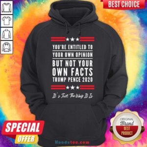 Perfect You’re Entitled to Your Own Opinion, But Not Your Own Facts Hoodie- Design By Handstee.com