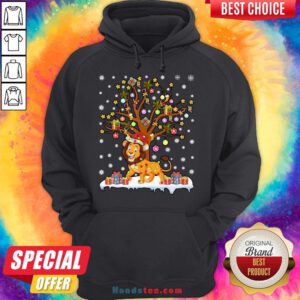 Pretty Lion Lighting Xmas Tree Lion Christmas Hoodie- Design By Handstee.com