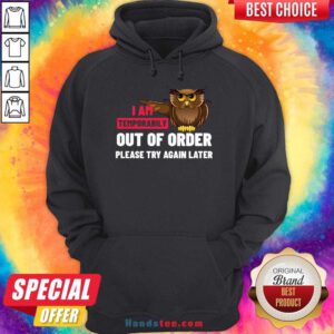 I Am Temporarily Owl Out Of Order Please Try Again Later Hoodie- Design By Handstee.com