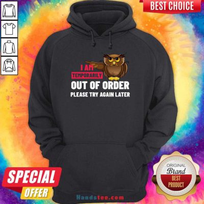 I Am Temporarily Owl Out Of Order Please Try Again Later Hoodie- Design By Handstee.com