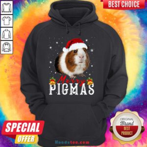 Funny Guinea Pig Christmas Santa Hoodie- Design By Handstee.com