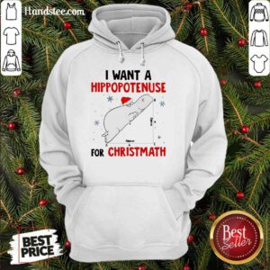 Funny I Want A Hippopotenuse For Christmath Hoodie- Design By Proposetees.com