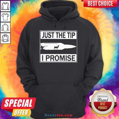 Just The Tip I Promise Hoodie- Design By Handstee.com
