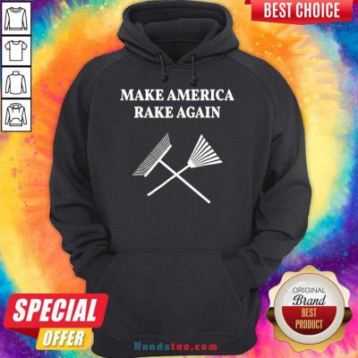 Hot Make America Rake Again Trump 2020 Hoodie- Design By Handstee.com