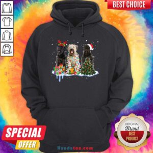 Bouvier Des Flandres Christmas Hoodie- Design By Handstee.com