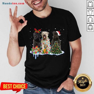 Bouvier Des Flandres Christmas Shirt- Design By Handstee.com