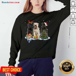 Bouvier Des Flandres Christmas Sweatshirt- Design By Handstee.com