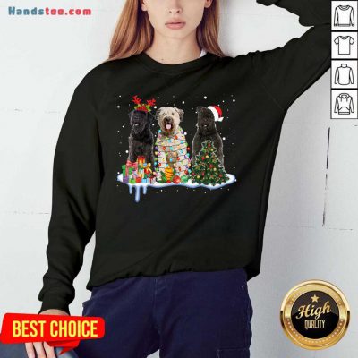 Bouvier Des Flandres Christmas Sweatshirt- Design By Handstee.com