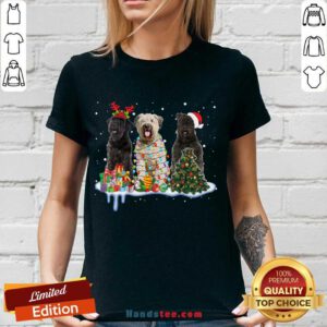 Bouvier Des Flandres Christmas V-neck- Design By Handstee.com