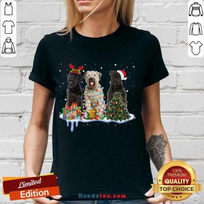 Bouvier Des Flandres Christmas V-neck- Design By Handstee.com