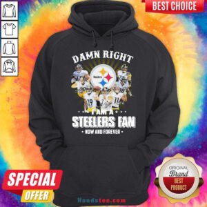 So Damn Right I Am A Pittsburgh Steelers Fan Now And Forever Signature Hoodie- Design By Handstee.com