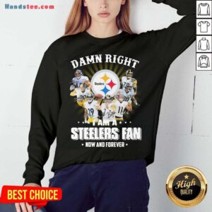 So Damn Right I Am A Pittsburgh Steelers Fan Now And Forever Signature Sweatshirt- Design By Handstee.com