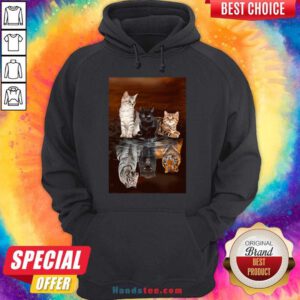 Three Cat Tiger Reflections 5d Diamond Diy Hoodie- Design By Handstee.com