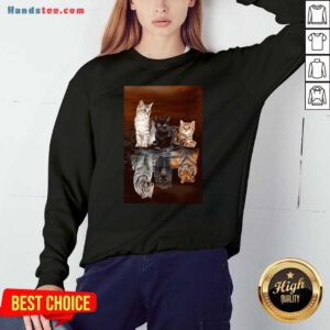 Three Cat Tiger Reflections 5d Diamond Diy Sweatshirt- Design By Handstee.com