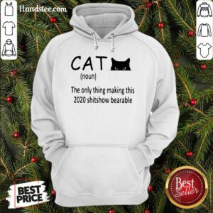 Premium Cat The Only Thing Making This 2020 Shitshow Bearable Hoodie- Design By Handstee.com