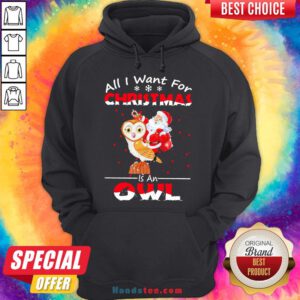 Pretty Santa Claus All I Want For Christmas Is An Owl Sweat Hoodie- Design By Handstee.com