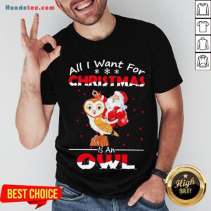 Pretty Santa Claus All I Want For Christmas Is An Owl Sweat Shirt- Design By Handstee.com