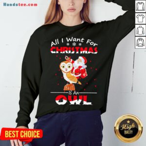 Pretty Santa Claus All I Want For Christmas Is An Owl Sweat Sweatshirt- Design By Handstee.com