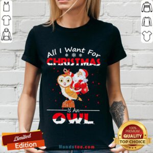 Pretty Santa Claus All I Want For Christmas Is An Owl Sweat V-neck- Design By Handstee.com