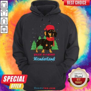 Pretty Walking In A Weiner Wonderland Dachshund Christmas Snow Hoodie- Design By Handstee.com