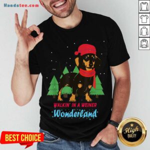 Pretty Walking In A Weiner Wonderland Dachshund Christmas Snow Shirt- Design By Handstee.com
