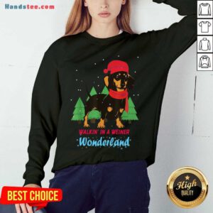 Pretty Walking In A Weiner Wonderland Dachshund Christmas Snow Sweatshirt- Design By Handstee.com