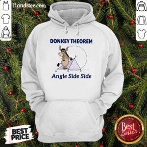 Awesome Donkey Theorem Angle Side Side Hoodie - Design by handstee.com