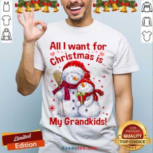 All I Want For Christmas Is My Grandkids Shirt- Design By Handstee.com