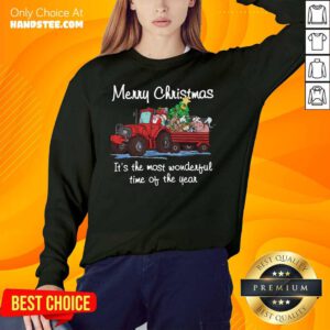 Santa Claus And Animal Merry Christmas It's The Most Wonderful Time Of The Year Sweatshirt- Design By Handstee.com