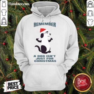 A Dog Isn't Just For Christmas Hoodie- Design By Handstee.com