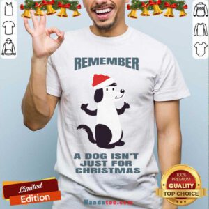 A Dog Isn't Just For Christmas Shirt- Design By Handstee.com