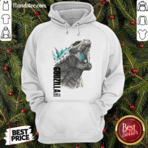 Godzilla King Of The Monsters Hoodie- Design By Handstee.com