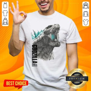 Godzilla King Of The Monsters ShirtDesign By Handstee.com