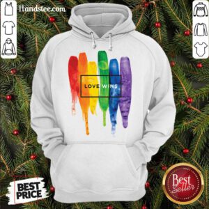 LGBT Love Wins Hoodie- Design By Handstee.com